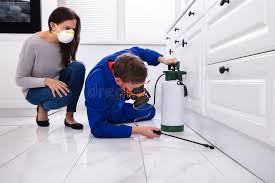 Best Residential Pest Control  in Brooksville, MS